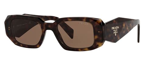 prada eyeglasses brown|Prada pr17ws sunglasses tortoise brown.